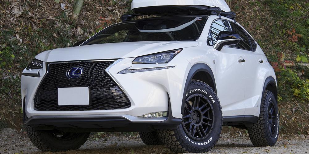 Lexus NX300h Black Rhino Arches